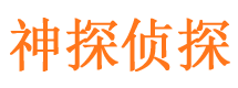 白河侦探公司